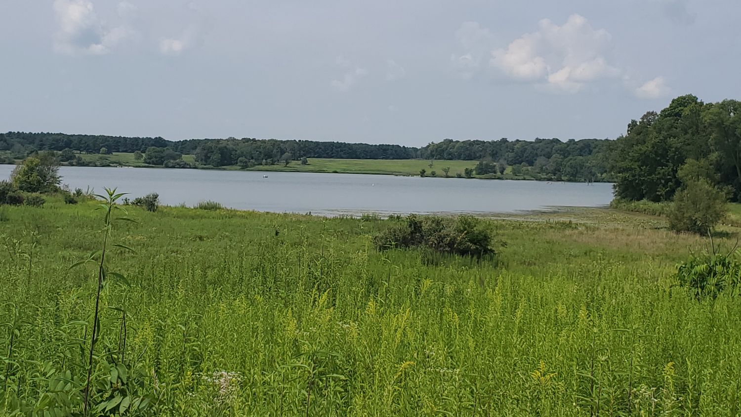 Shabbona Lake State Park 